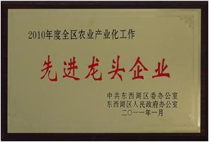 2011年先进龙头企业